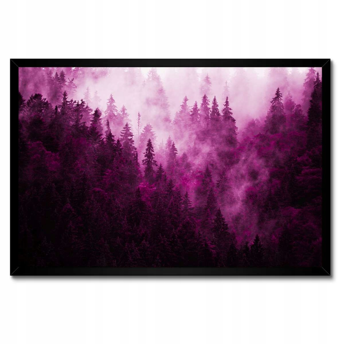 Plakát v černém rámu 60x40 Krajina růží Hory Mlha