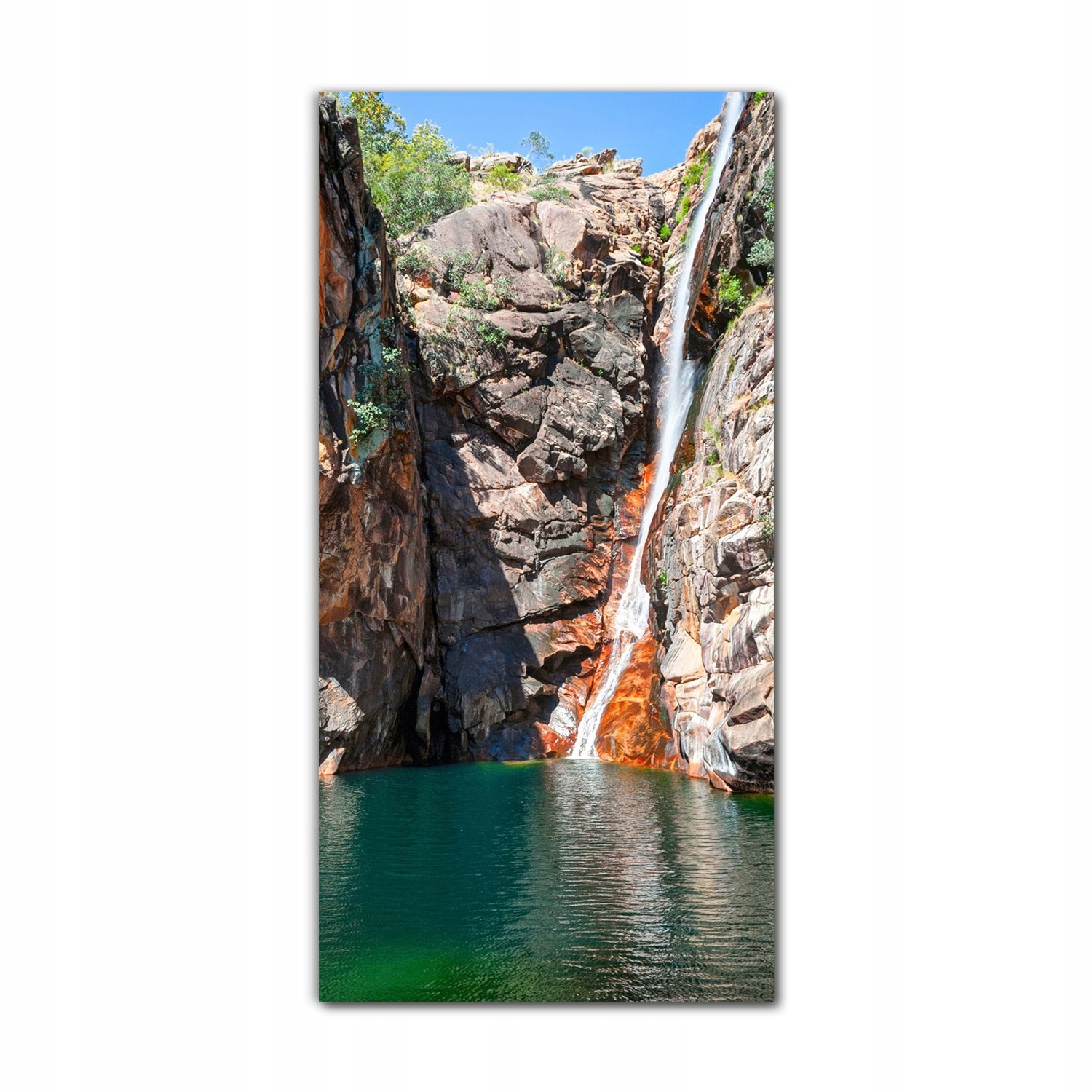 

Foto-obraz na szkle do kuchni 60x120 Kakadu natura