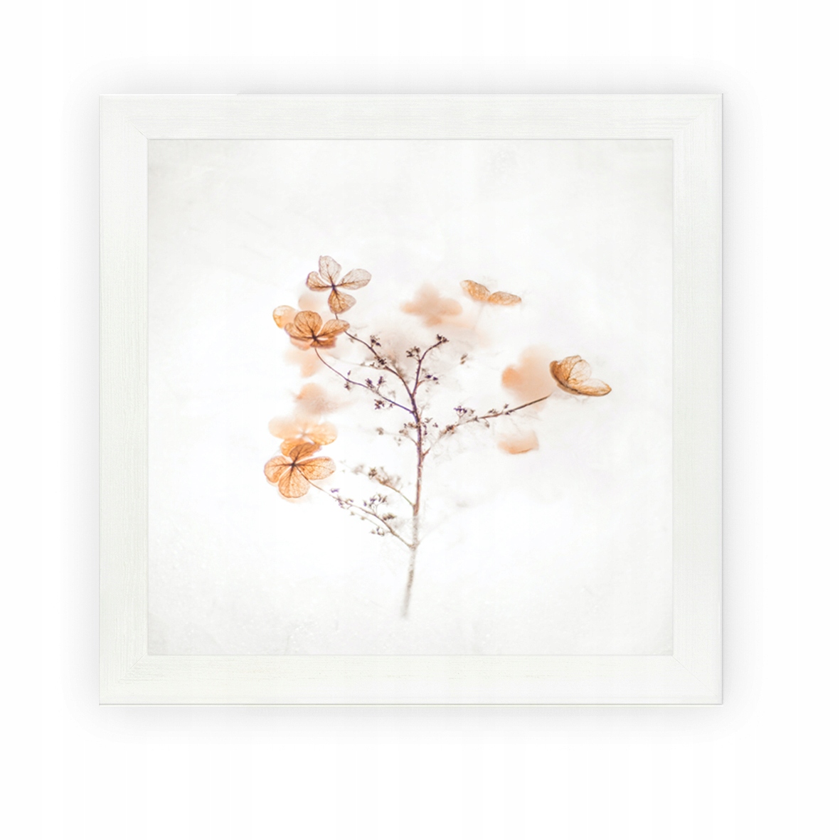 

Foto ramka na zdjęcie Sosna Drewno 50x50 Biały