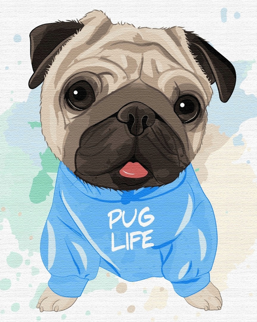 Malowanie po numerach Paint it! mops 40x50 cm