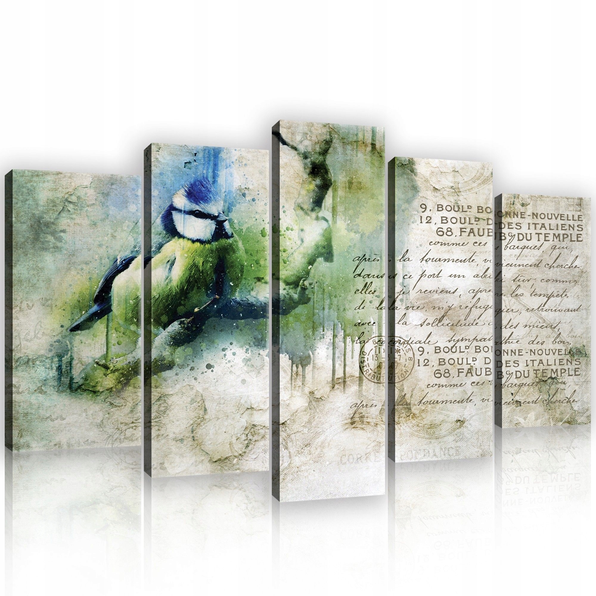 Obraz 100x60 modulární pták vintage retro akvarel abstrakce příroda