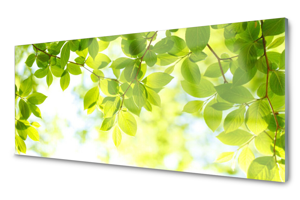 

Panel szklany do kuchni Liście Roślina 125x50