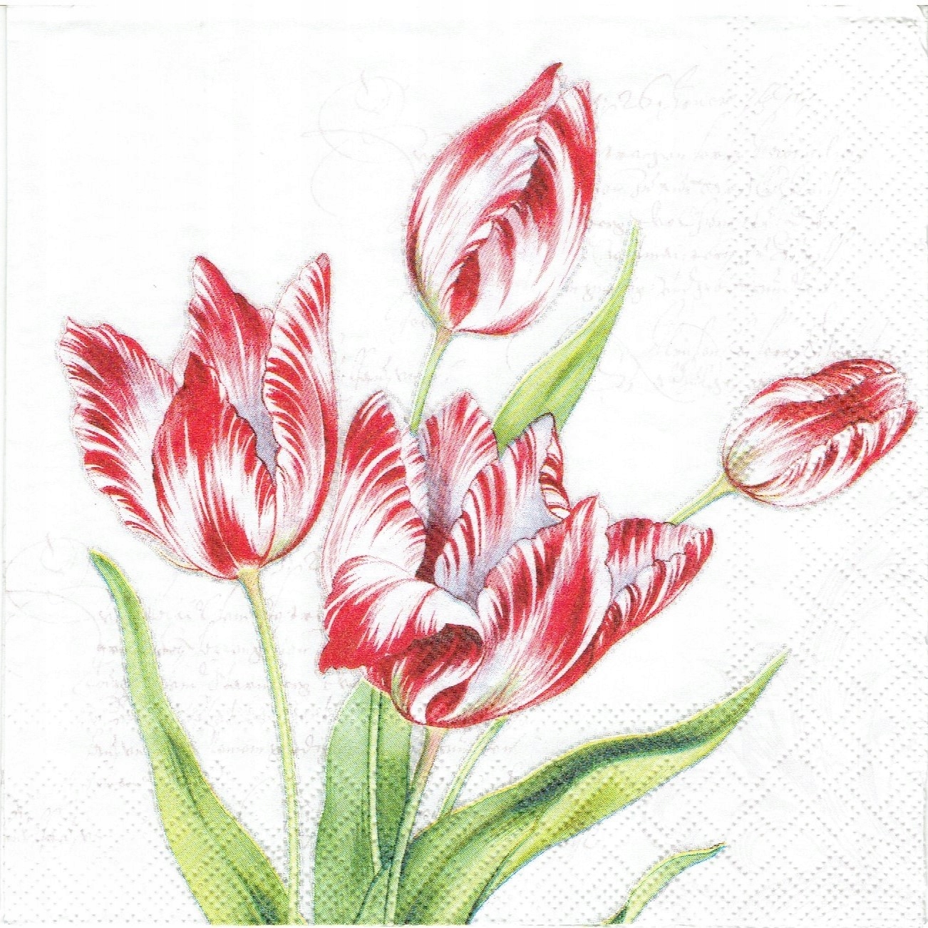 Serwetka decoupage 234Z serwetki Kwiaty tulipany