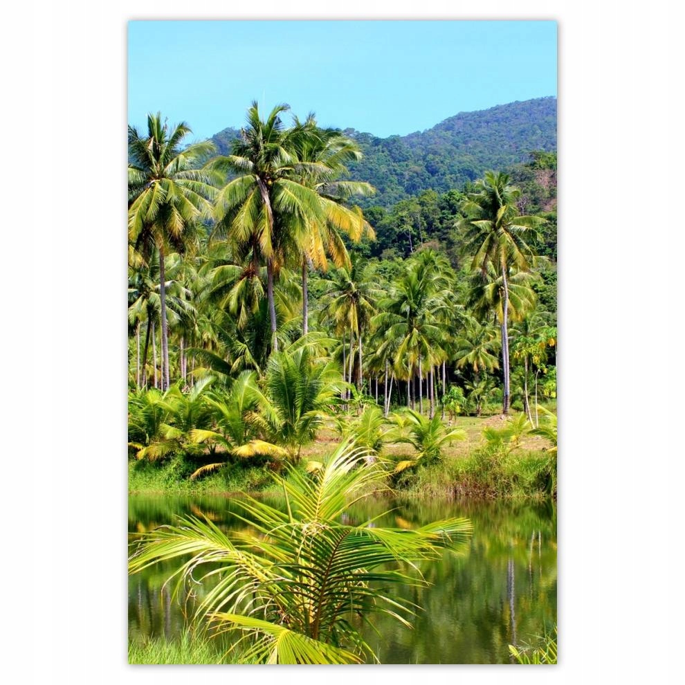 

Plakaty 40x60 Piękna amazonka