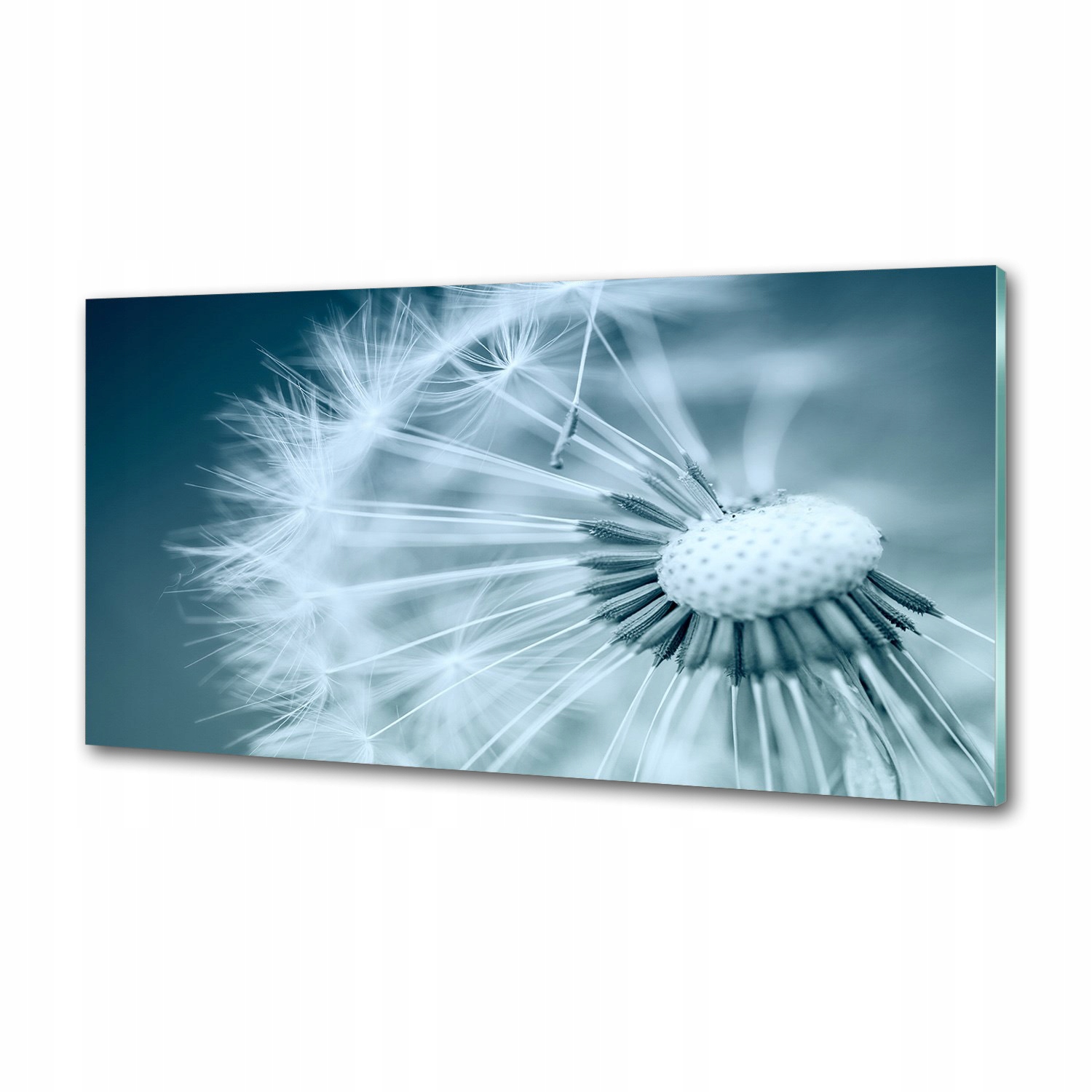 Dekoračný panel sklo Púpava 120 x 60 cm Lepidlo