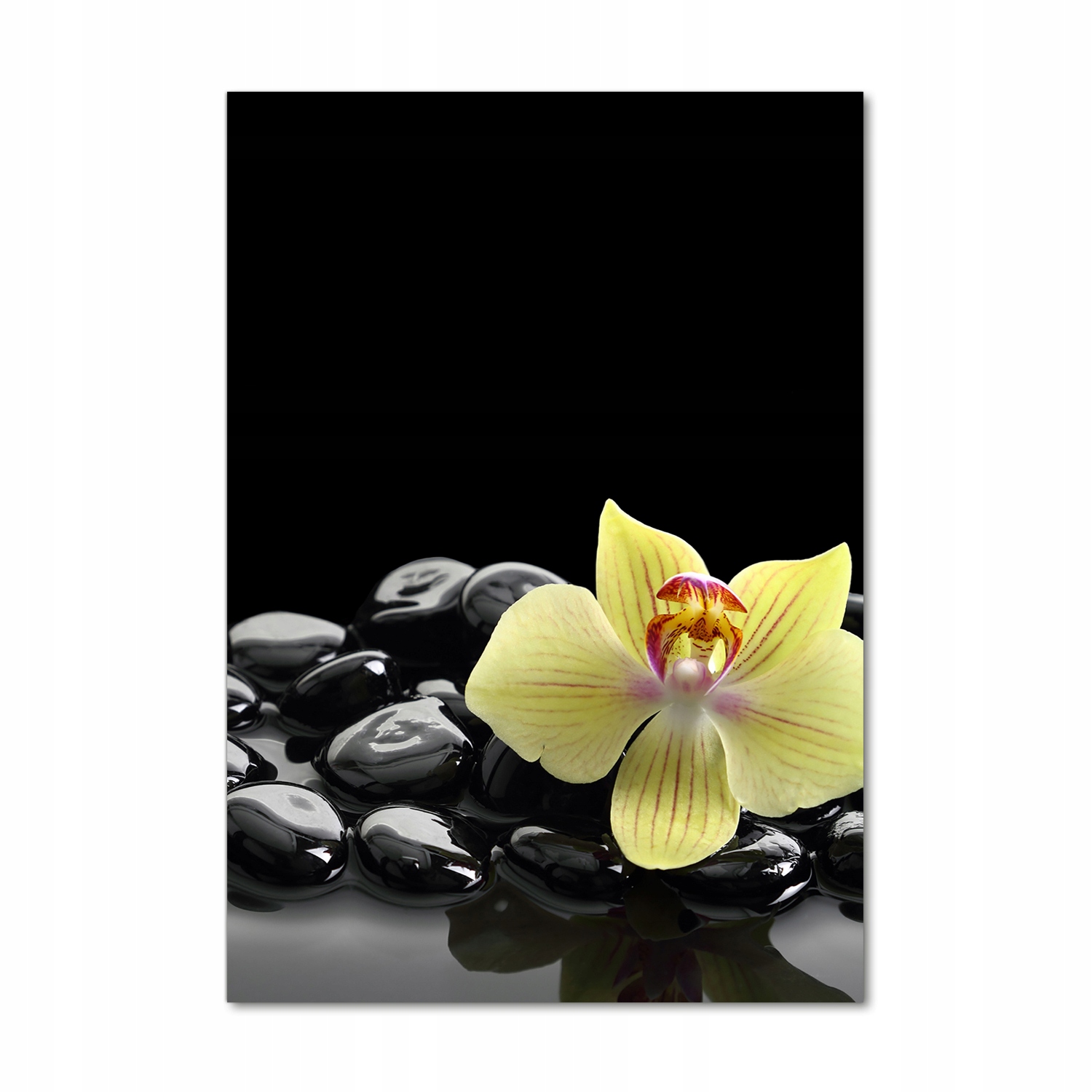 

Foto obraz akrylowy Orchidea i kamienie 70x100cm