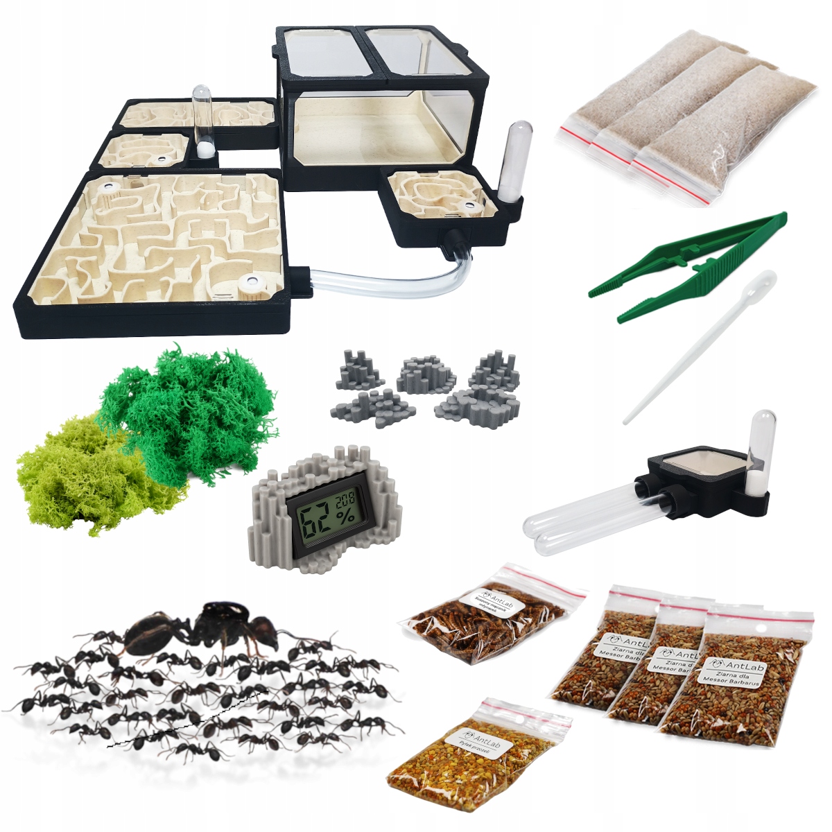 Chov mravenců pro děti – Premium sada Large L