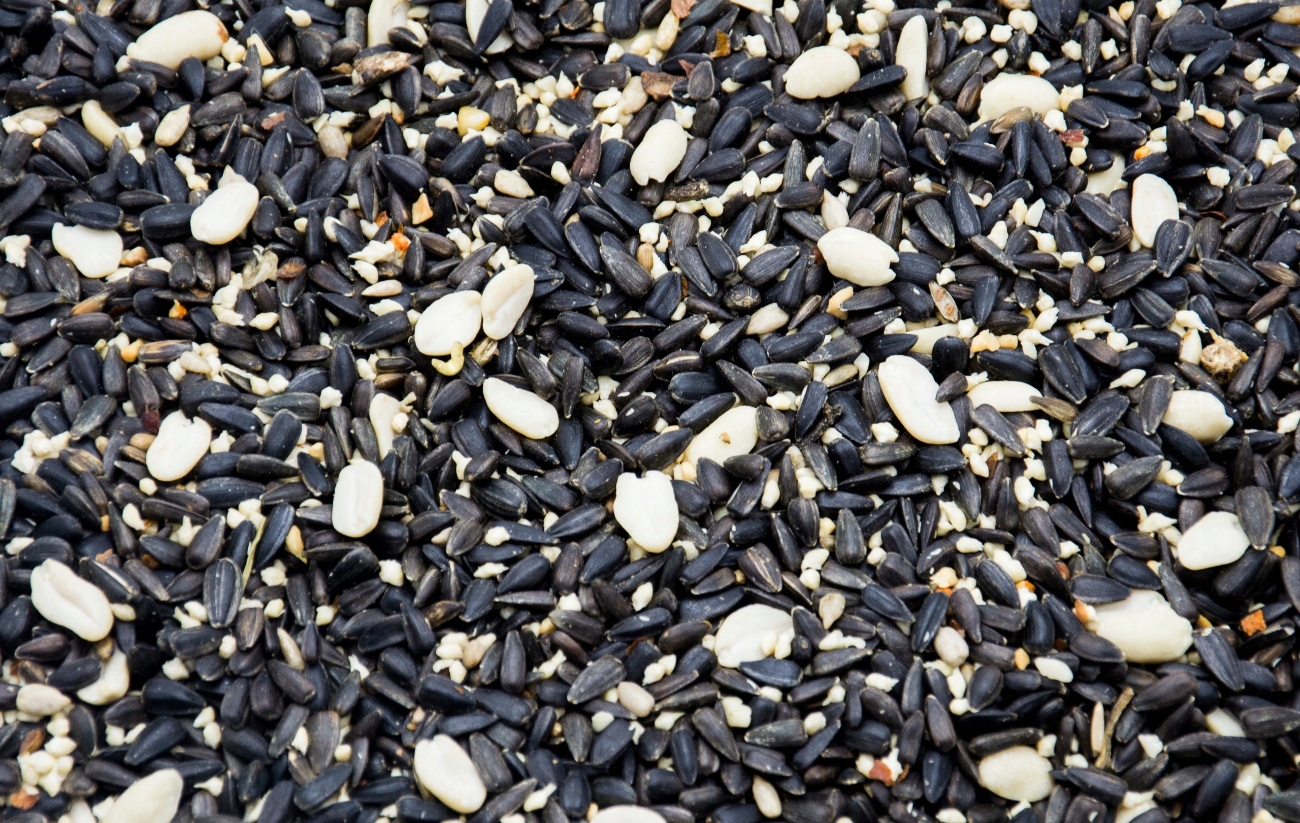 SŁONECZNIK CZARNY MIX ZIARNO DLA PTAKÓW + KARMNIK Waga 0 kg