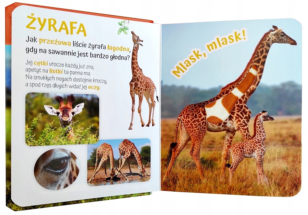 KSIĄŻECZKA KSIĄŻKA POGŁASZCZ ZWIERZĘTA ŚWIATA Marka inna