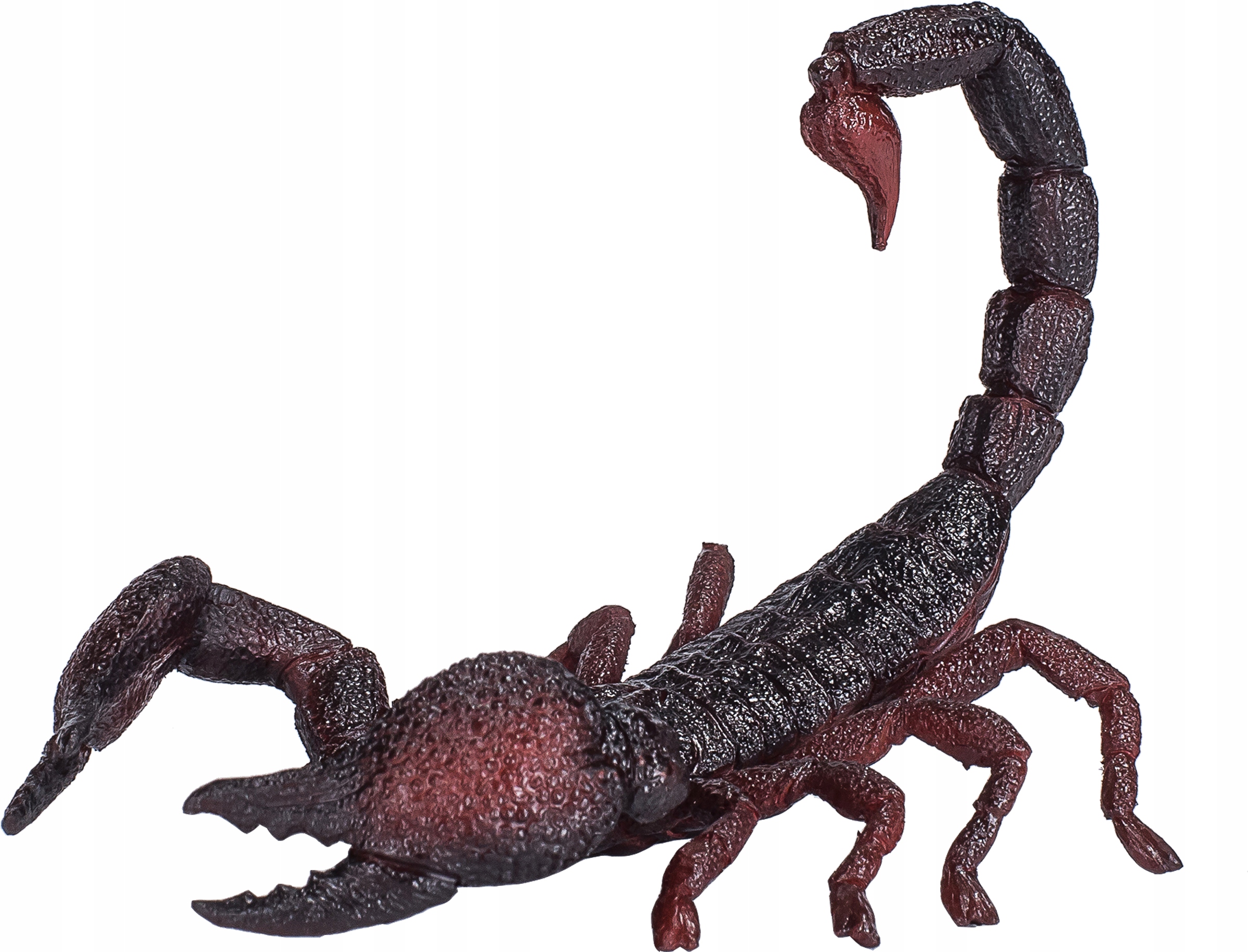 

Skorpion Cesarski - Animal Planet - 387133 - L