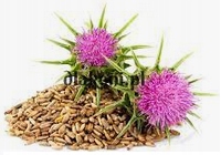 DELIZIA OLEJ Z OSTROPESTU DLA KONIA 1L KERBL Kod producenta 3297692