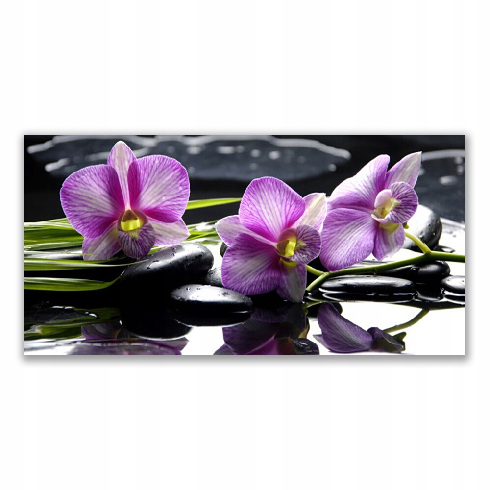 

Fotoobraz na ścianę 120x60 Kwiat Orchidea Roślina