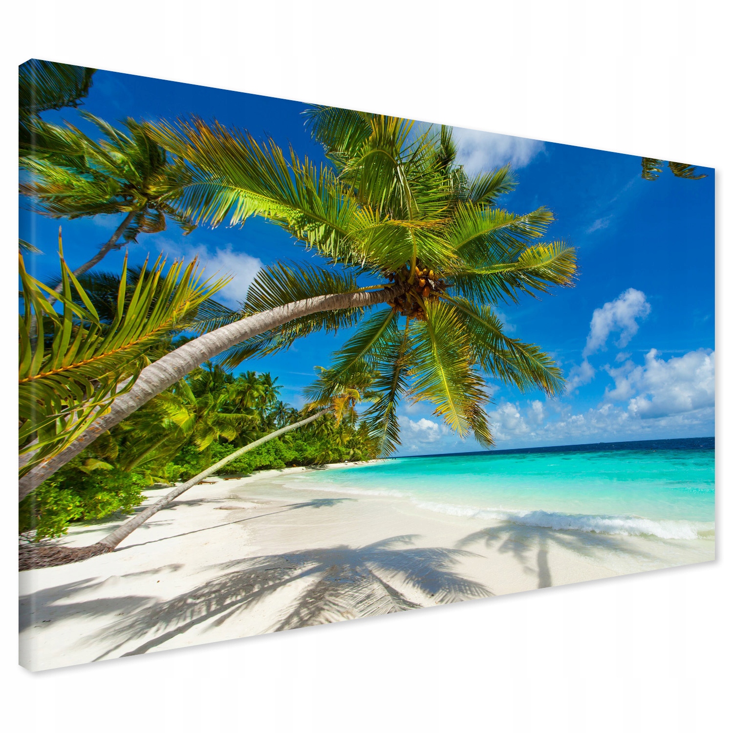 

Obraz na płótnie Malediwy plaża palmy 120x80