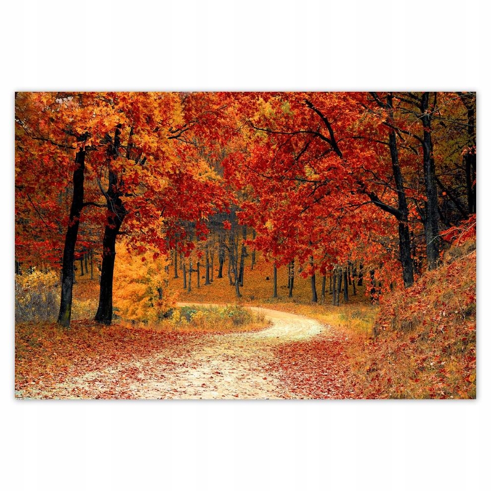 

Plakat 93x62 Pejzaż Krajobraz