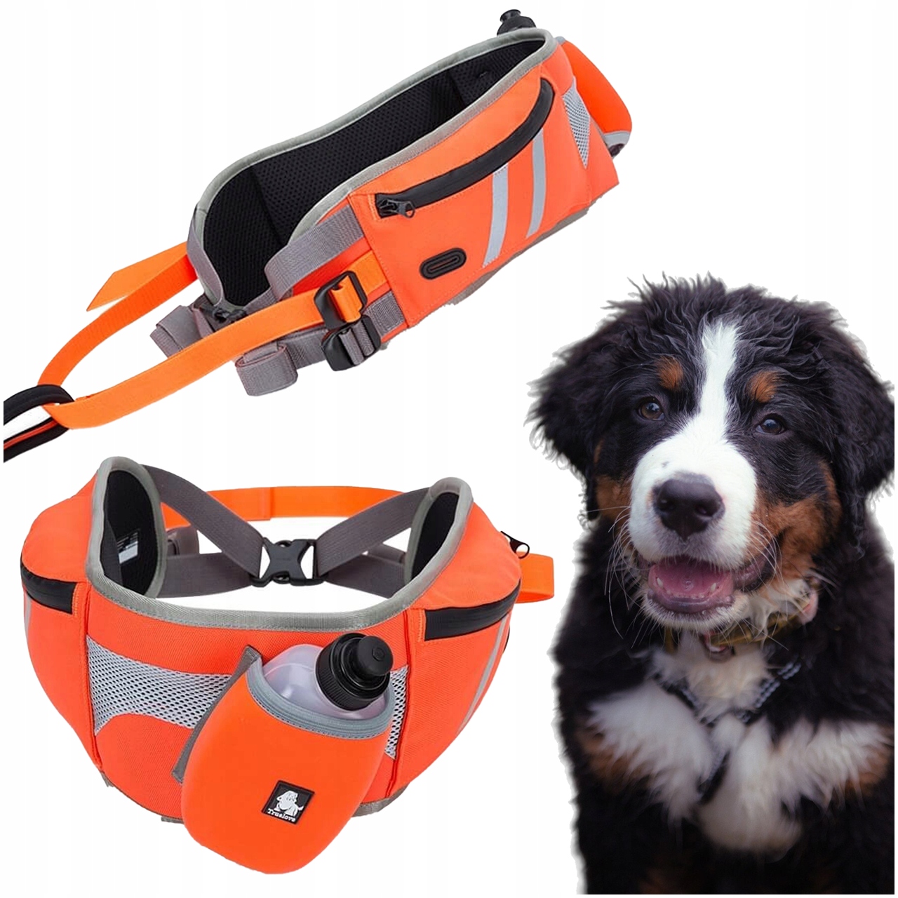 Běžecký Pás Se Psem Dogtrekkingový Truelove Oranžový