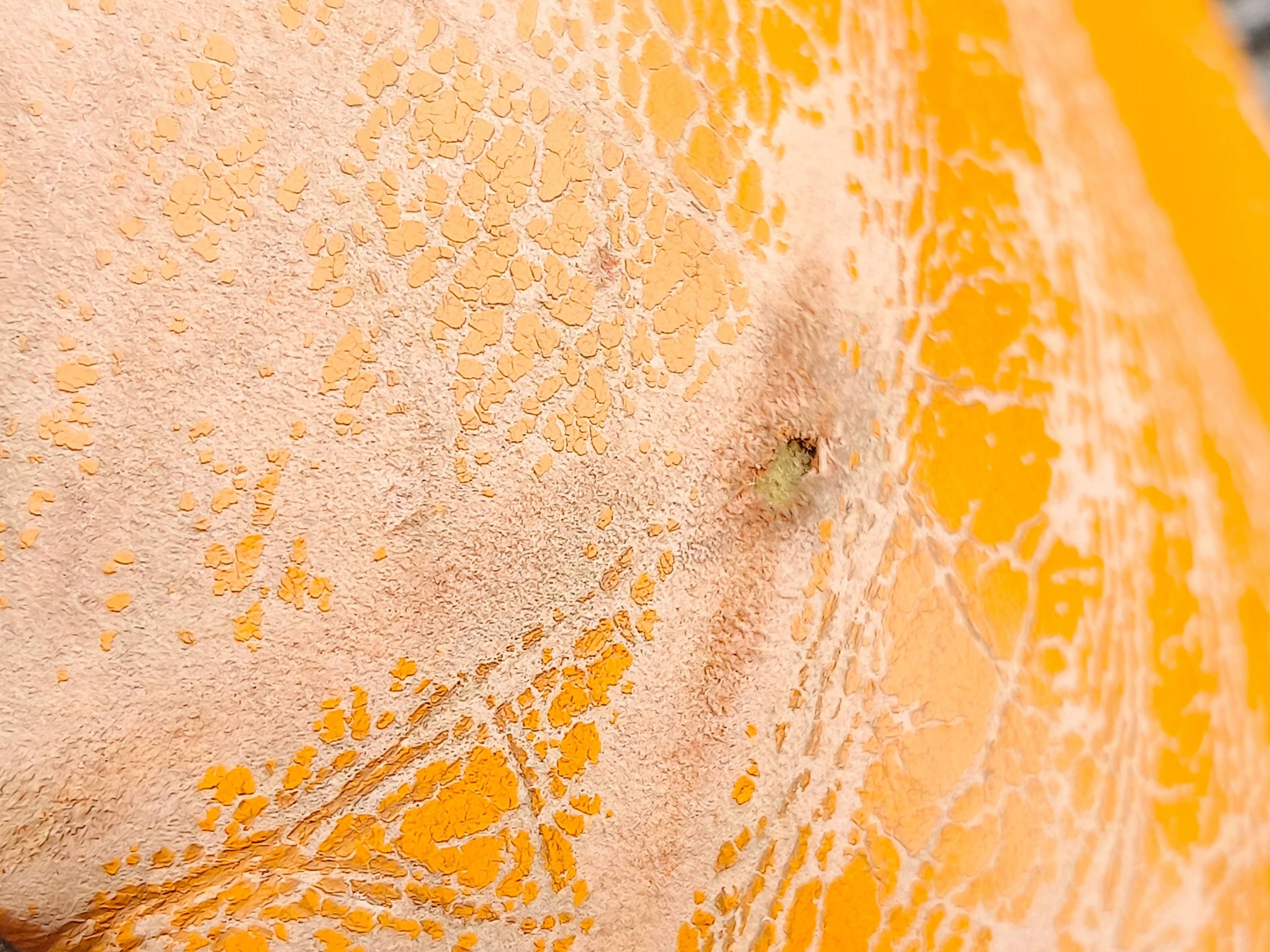 nissan 350Z 2004 кресло водители