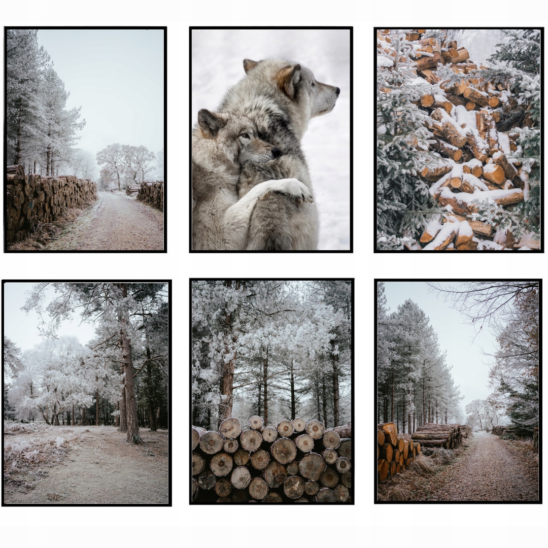 Plakáty Set 6 Ks 30x40cm eviero Zima Vlci les příroda zimní krajina