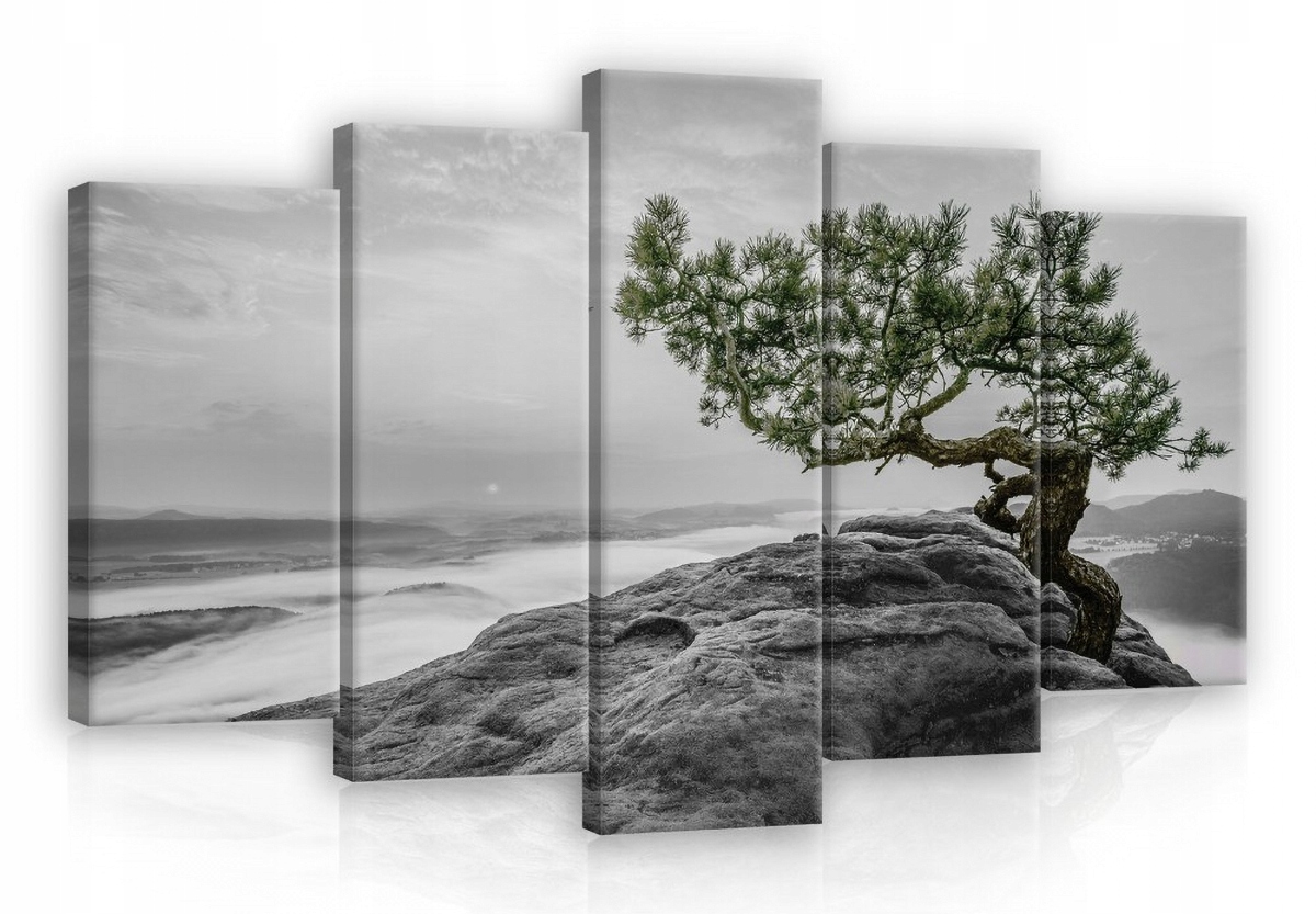 Obraz Na Plátně Canvas 100x60 Hory Borovice Strom
