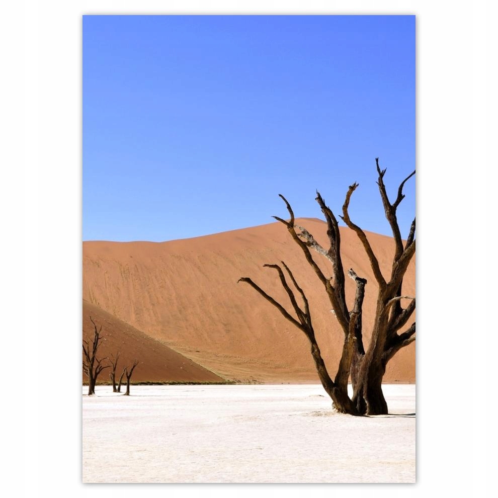 

Naklejki 50x70 Drzewo na pustyni