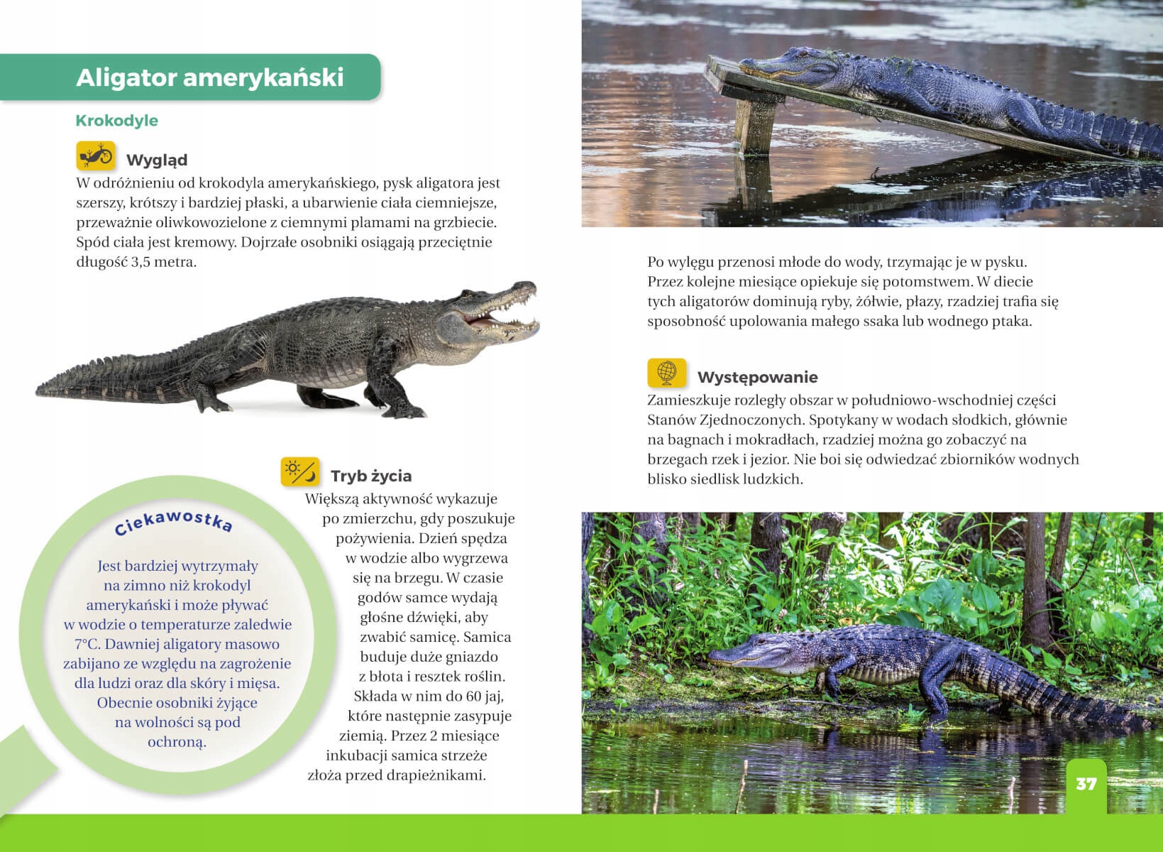 ATLAS DLA DZIECI JAKI TO GAD TWARDA NAGRODY SBM Nośnik książka papierowa