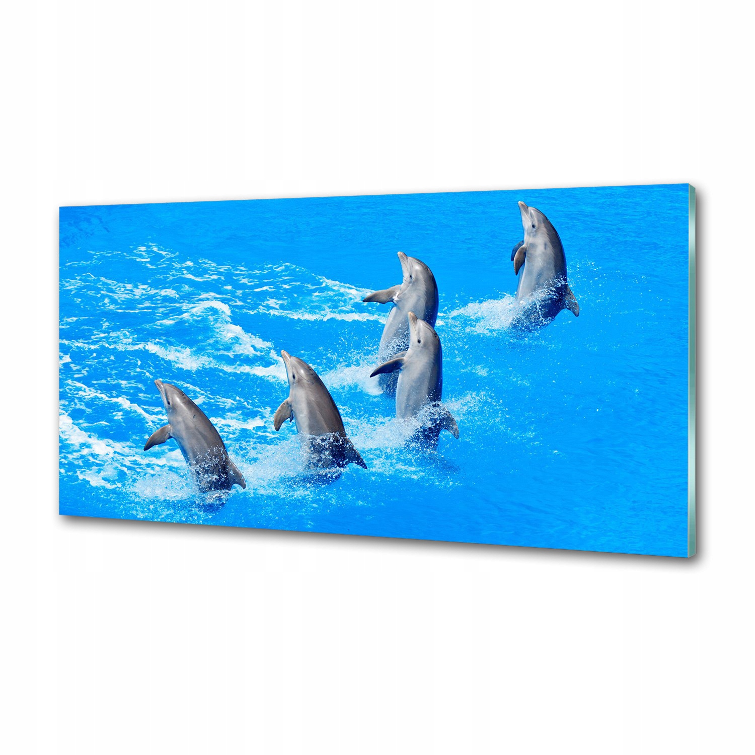 Skleněný panel do kuchyně Delfíni 120 x 60 cm Lepidlo