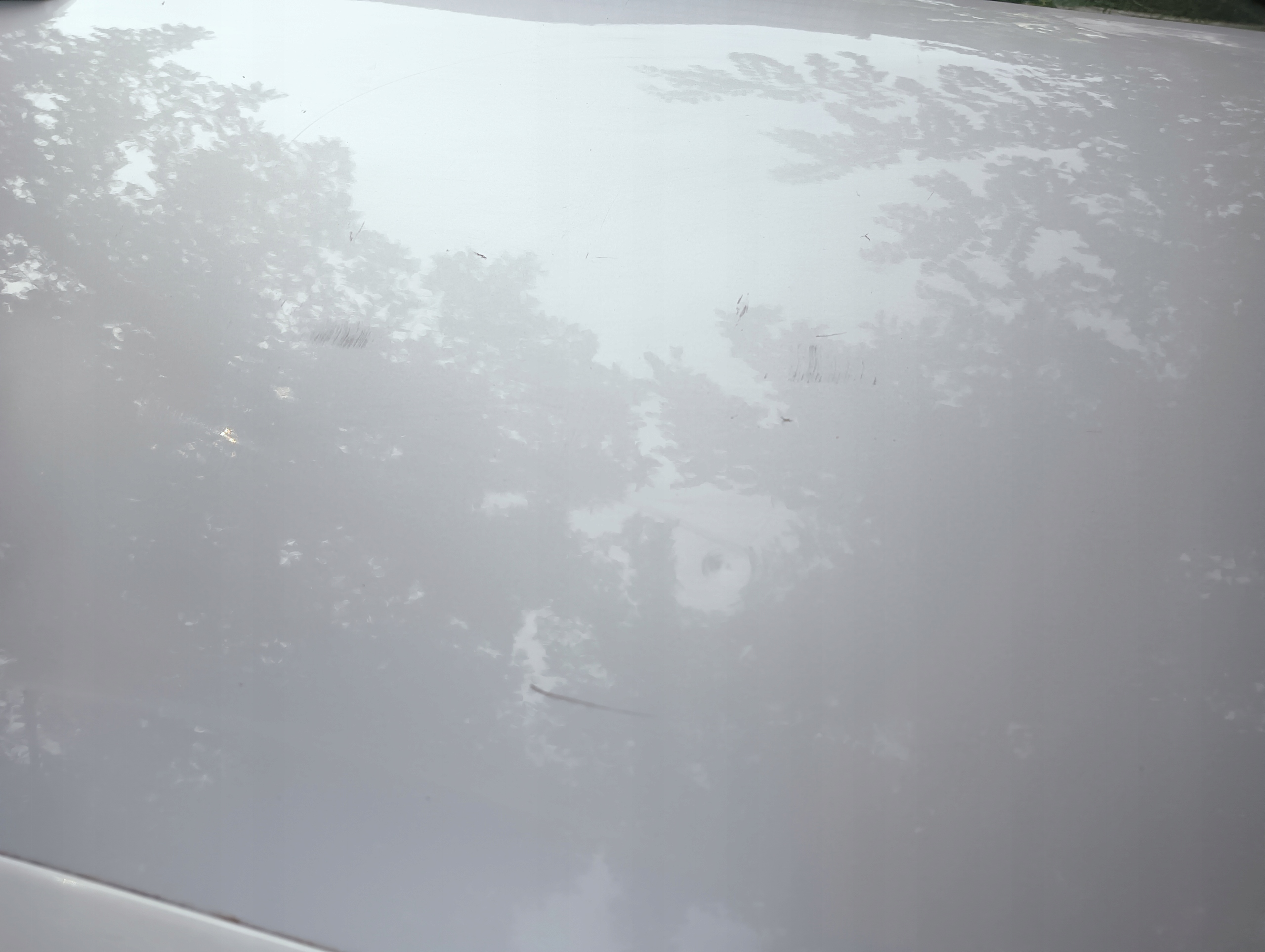 door right front OPEL ASTRA H Z157