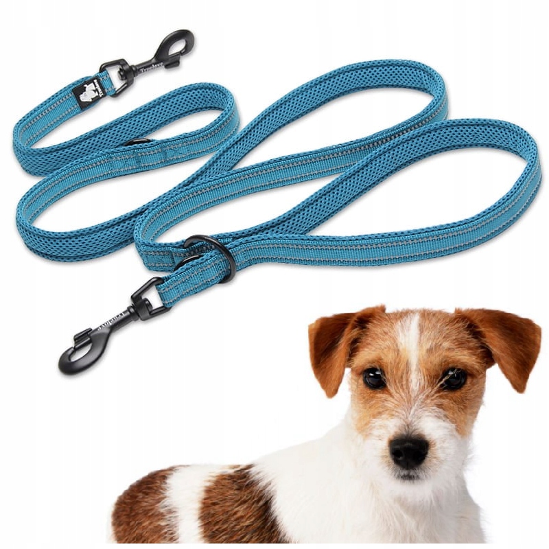 Levně Vodítko Pro Psa Přepínací Reflexní Truelove Active Pro+ 250 CM Modrá S