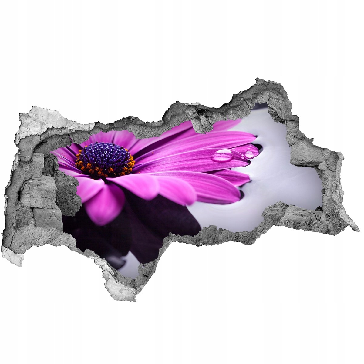 

Samoprzylepna Naklejka fototapeta Gerbera 95x73