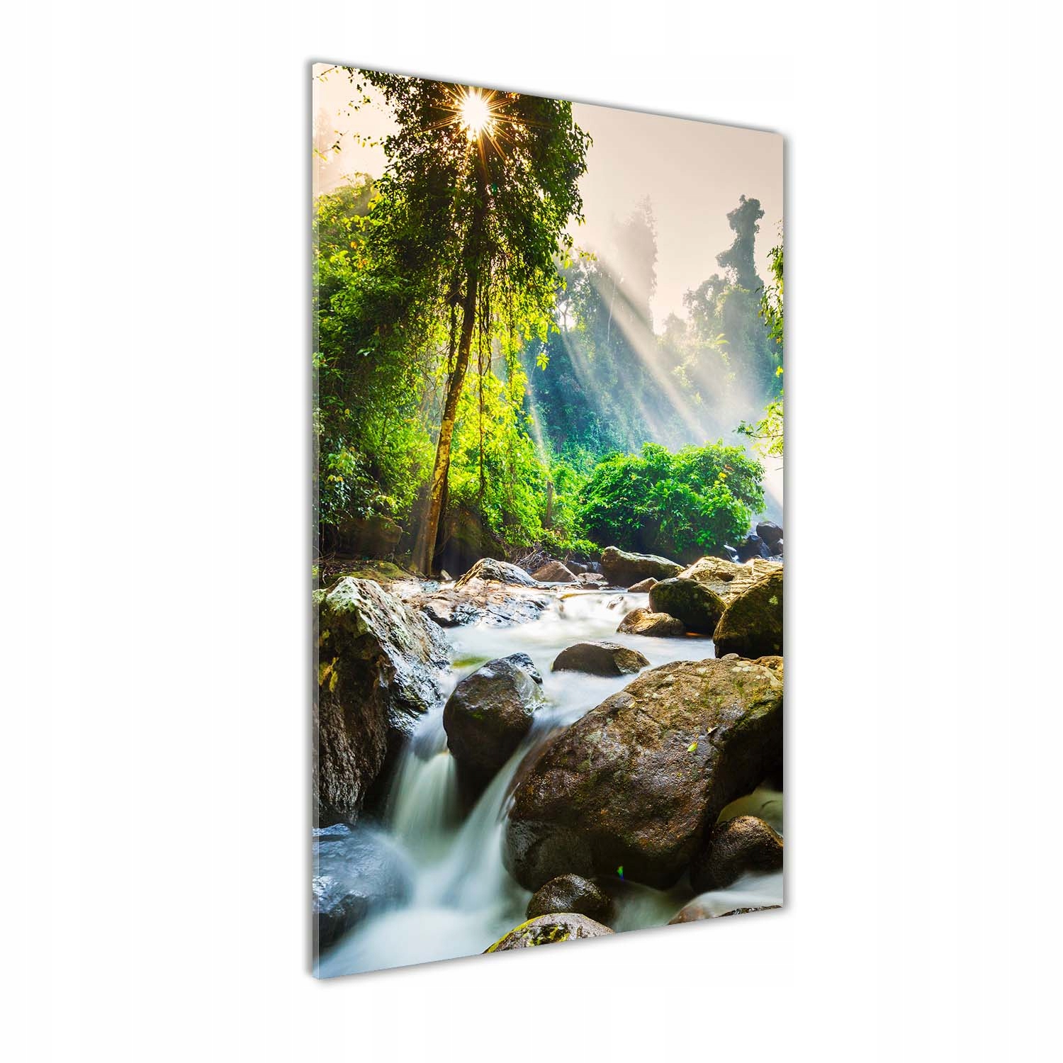 

Foto obraz szkło akrylowe Wodospad w lesie 60x120