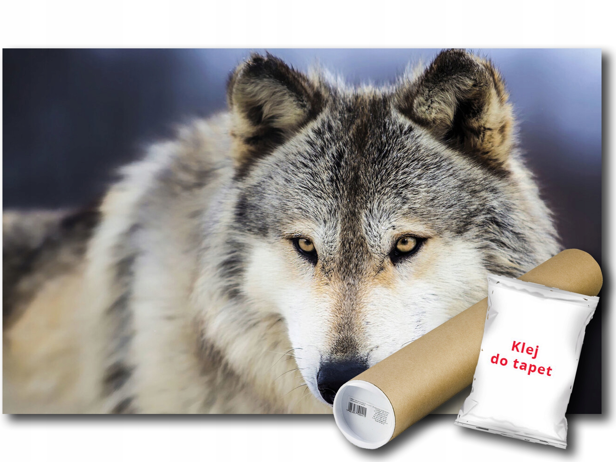 Vinylová Fototapeta Vlk Pes Dravec Zvíře Fauna Příroda 254x184