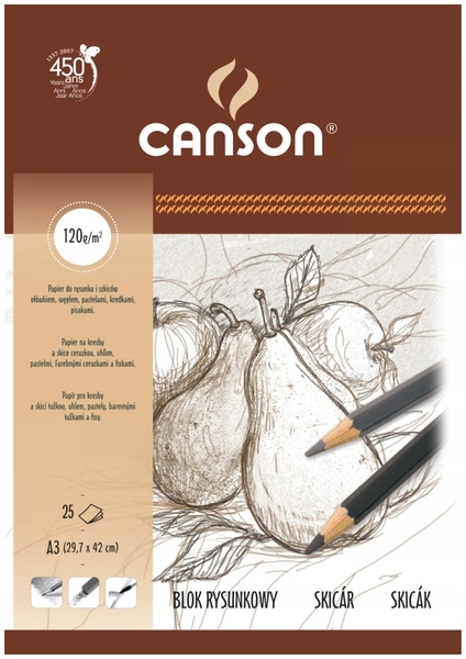 Blok Bílý Kreslící bloky na kreslení A3 25 listů 120 g Zrnitý 5 ks