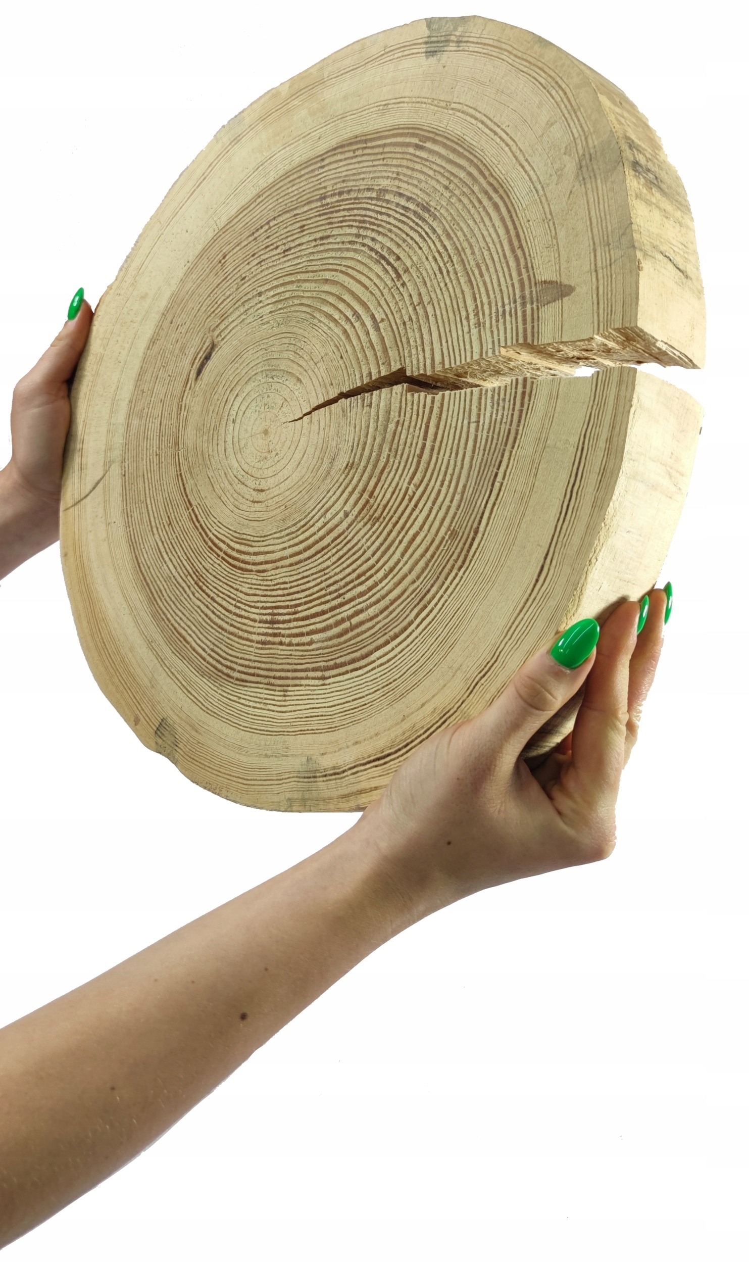 Dřevěný plát bez kůry Borovice puk dřevěný borovicový výbrus 35-40cm gr.6cm