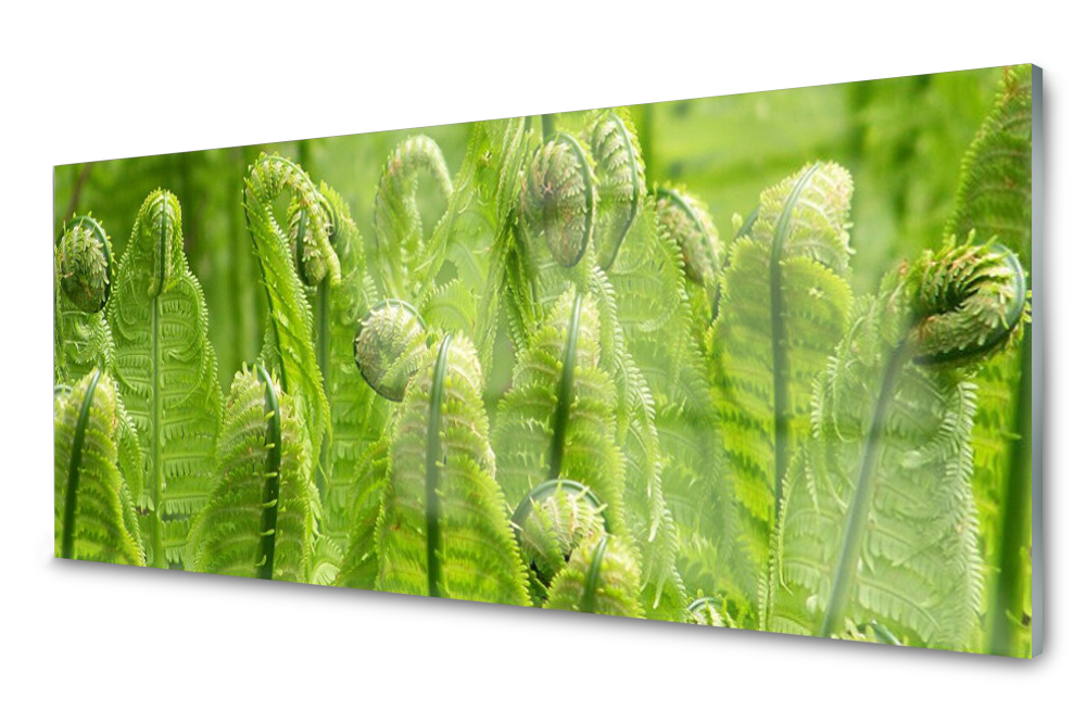 

Panel szklany do kuchni Dekor Roślina 125x50