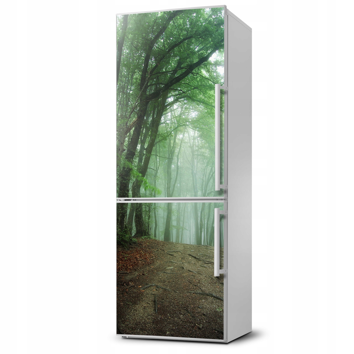 

Magnes na lodówkę magnetyczna Mgła w lesie 60x180
