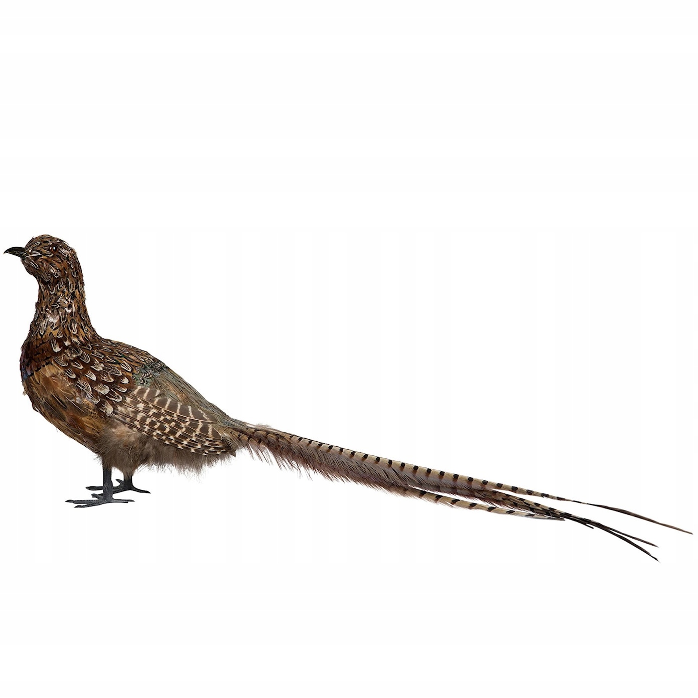 Figúrka Bažant Replika Vták 70 cm Dekoračná Realistická Pravá Perie