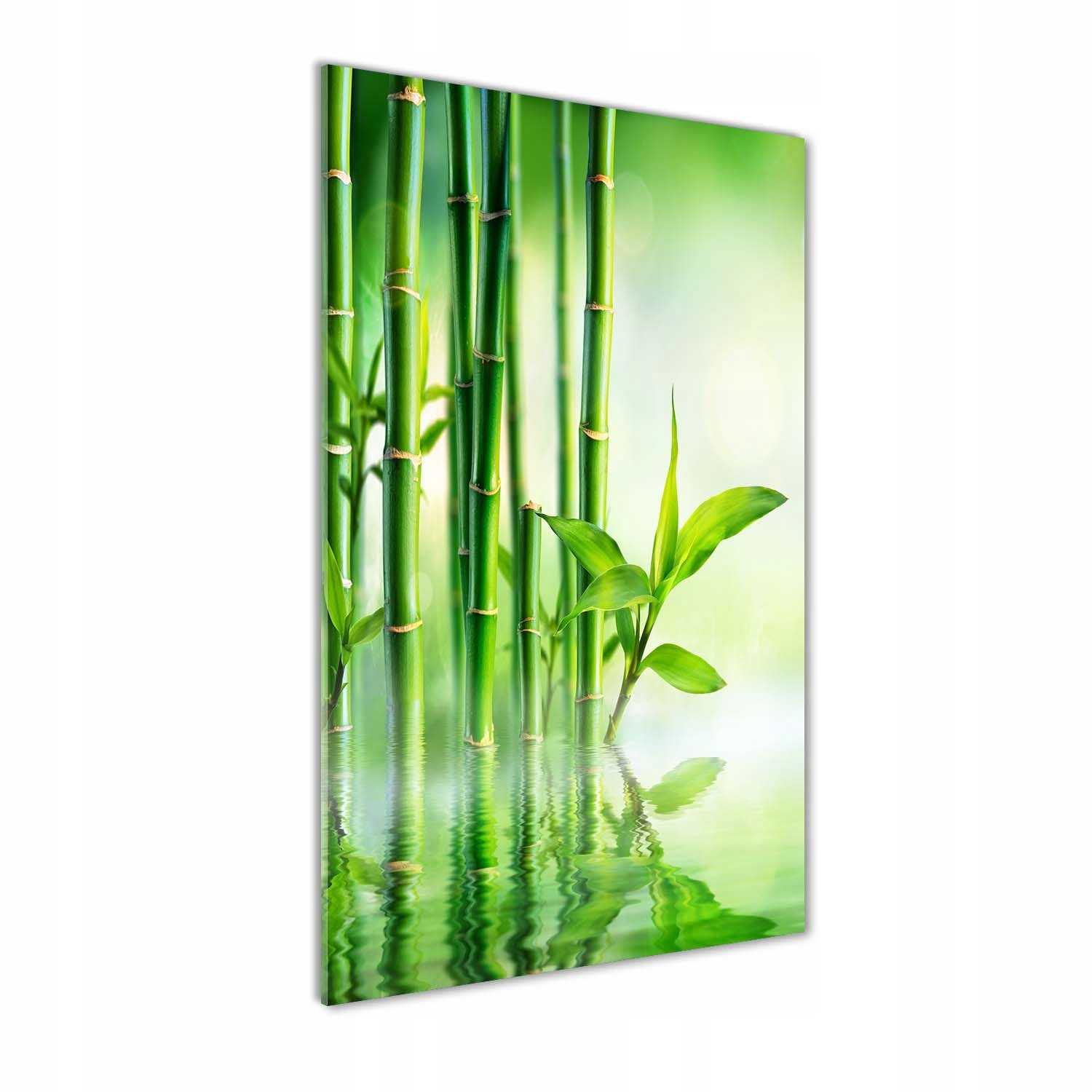 

Foto obraz szkło akrylowe Bambus w wodzie 60x120cm