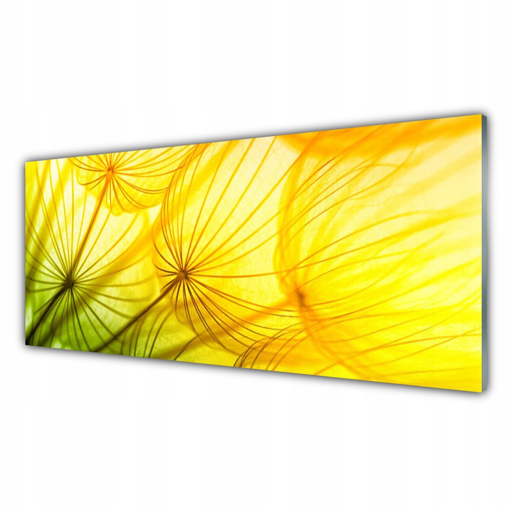 

Fotoobraz na ścianę 125x50 Dmuchawce Kwiaty Natura