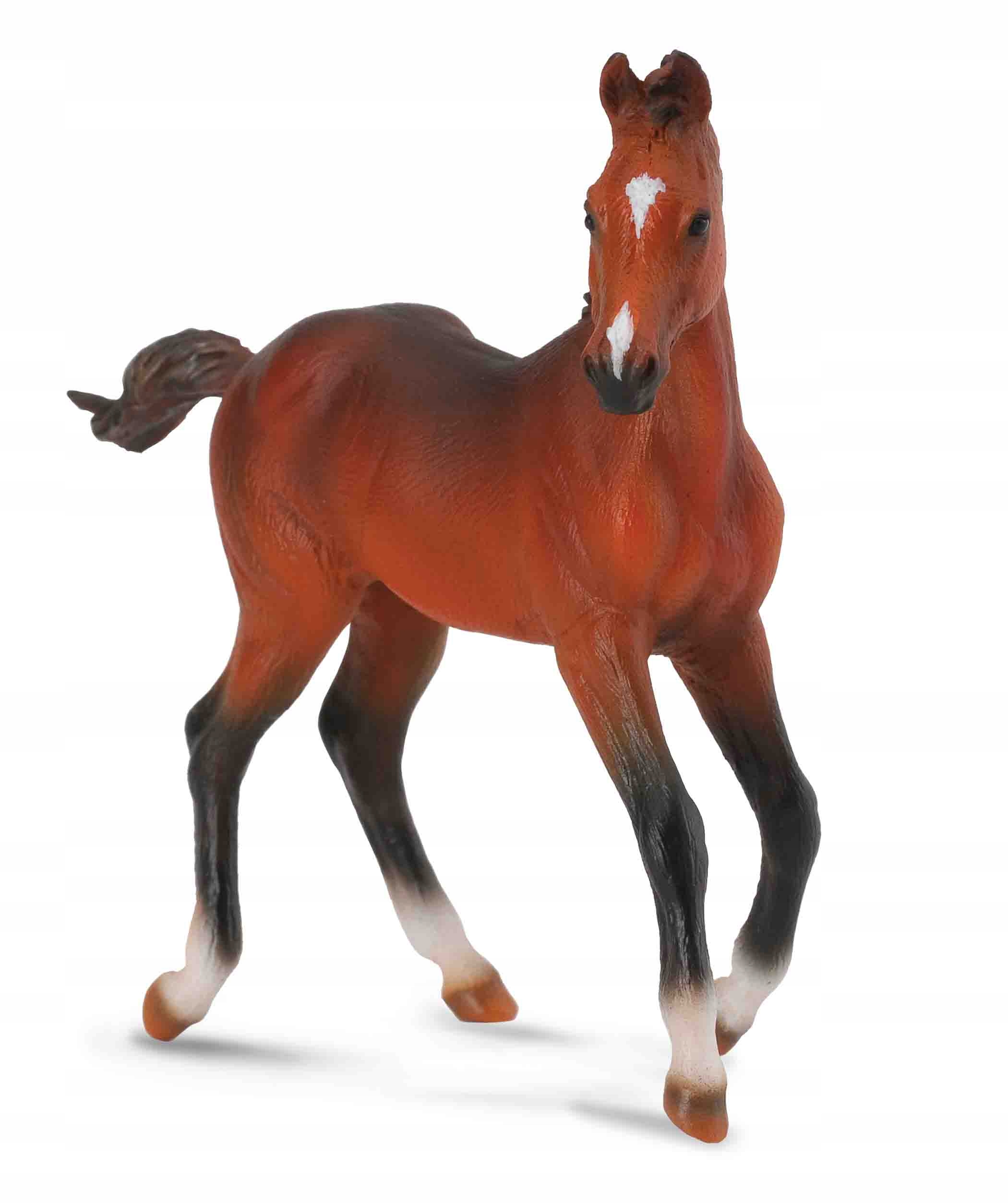 

Źrebię Quarter Maści Bay - CollectA - 88586