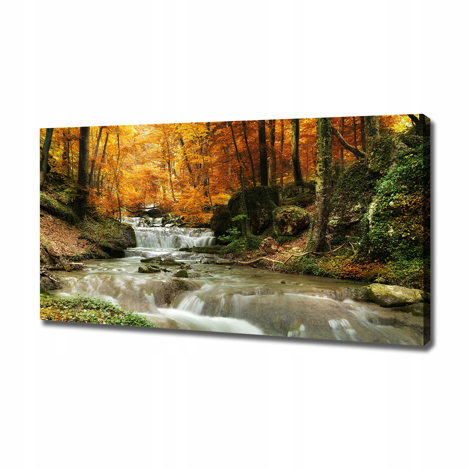

Foto obraz na płótnie Wodospad w lesie 120x60 cm