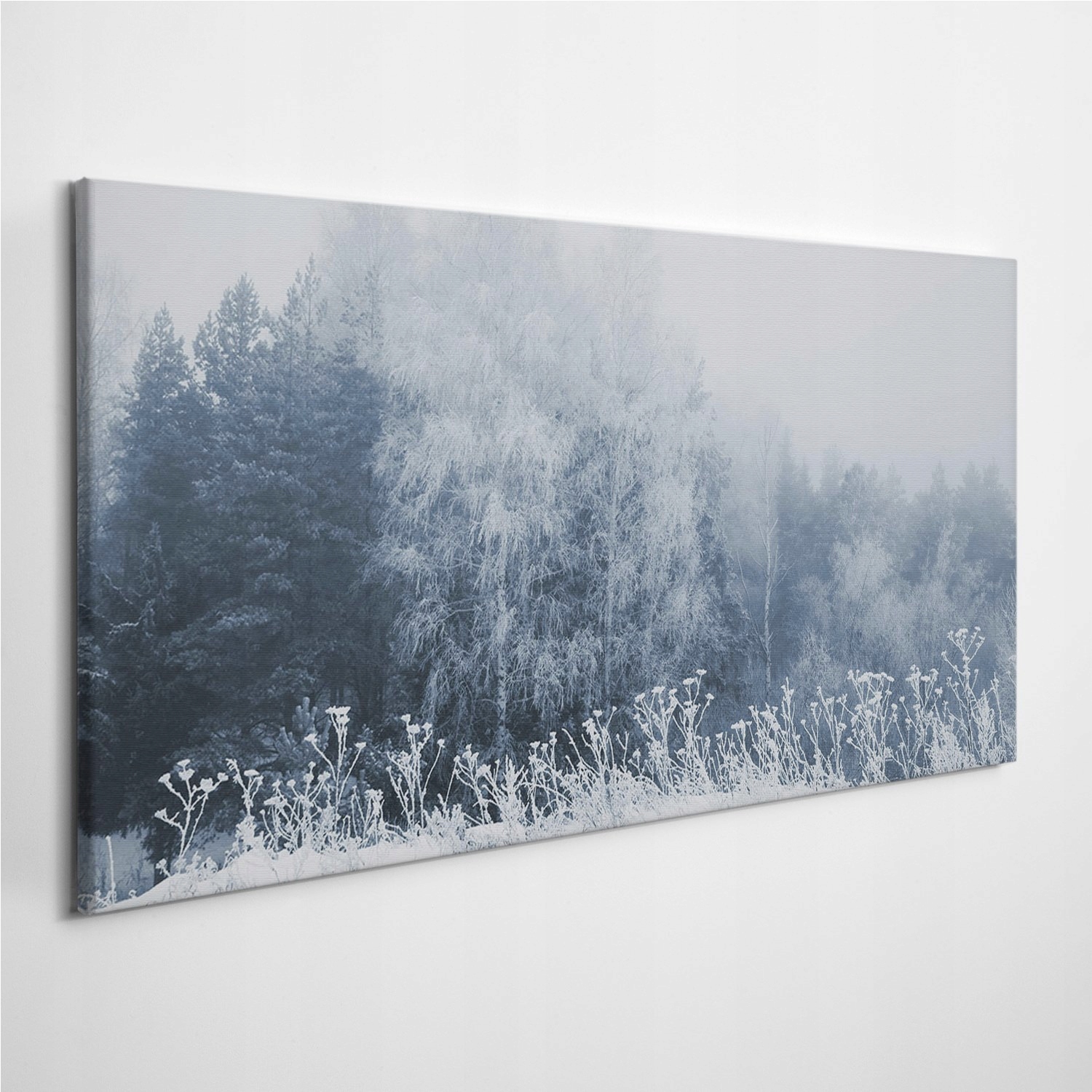 

Fotoobraz z zdjęciem Zima Krajobraz Drzewa 120x60