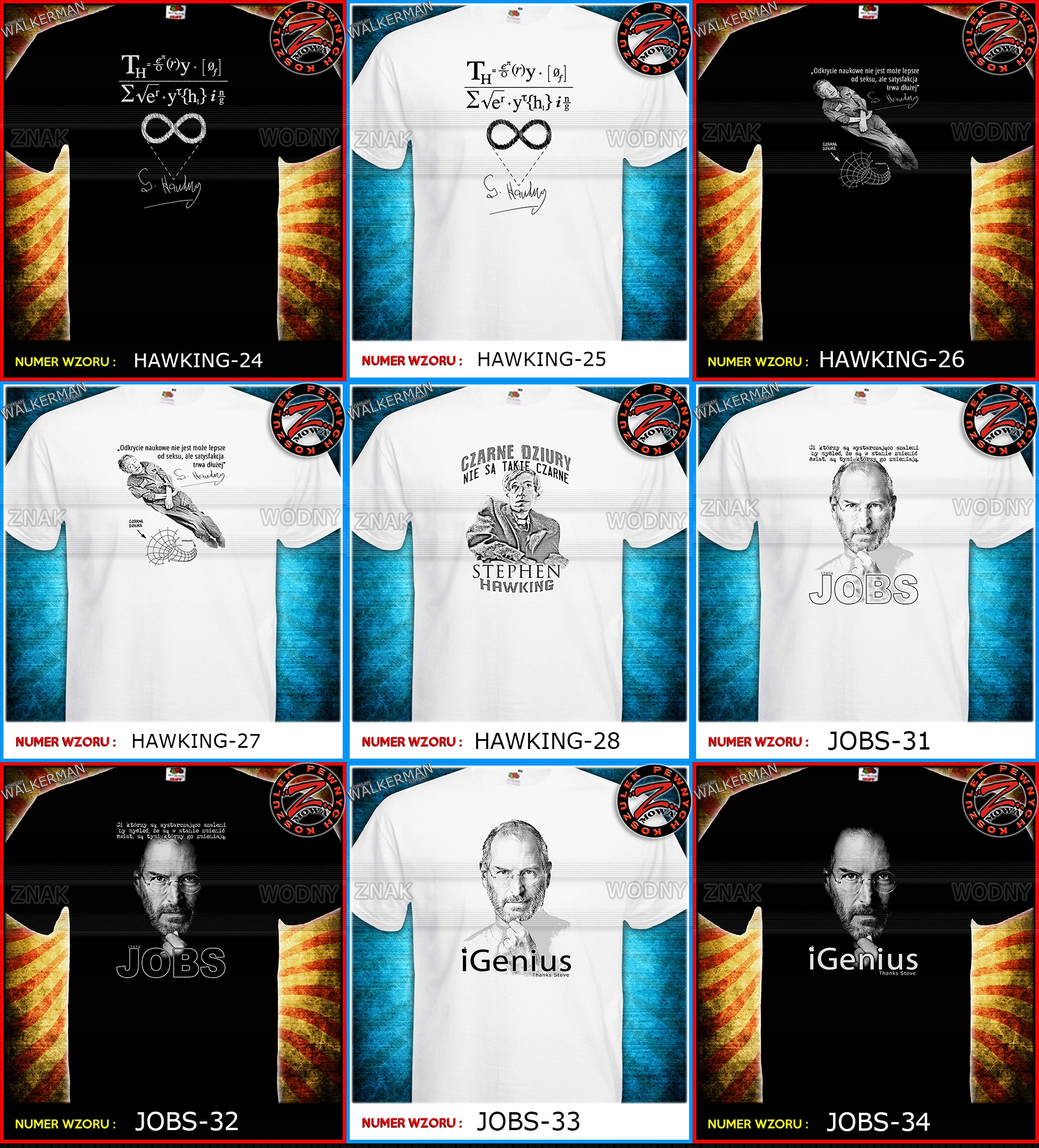 koszulka PODUSZKA z nadrukiem geniusze einstein !! Marka Fruit of the Loom