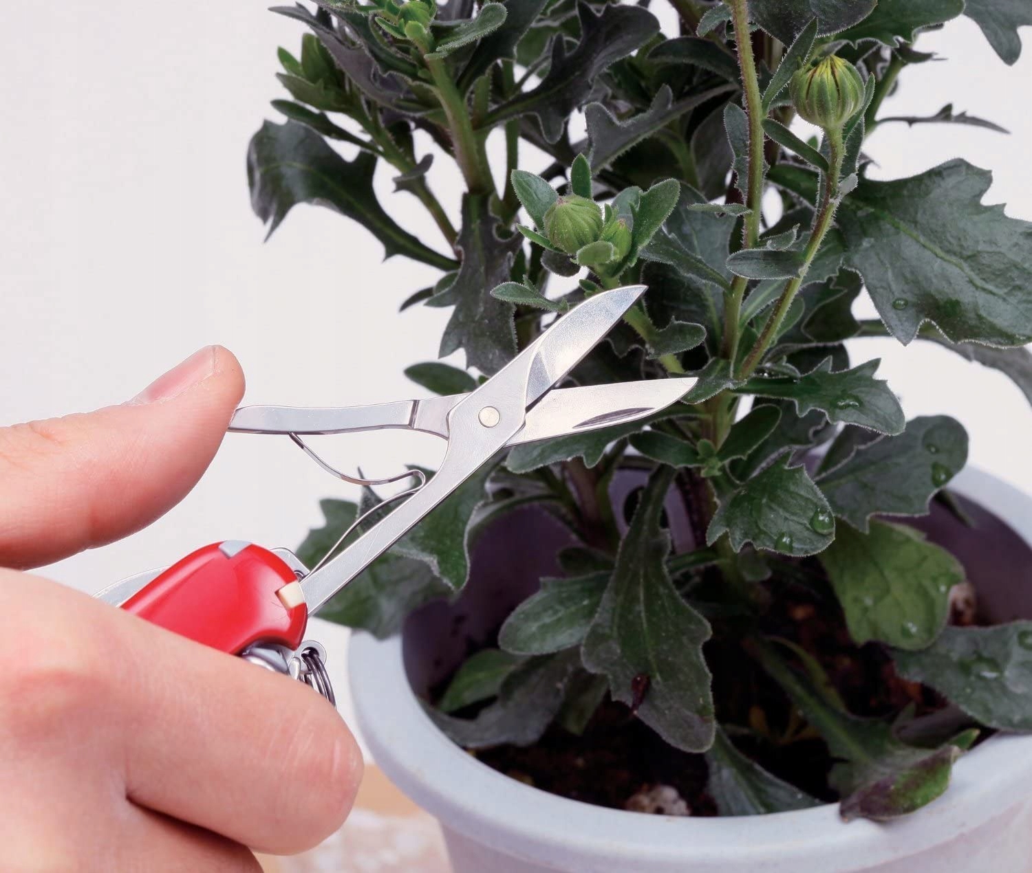 Scyzoryk Huntsman czerwony Victorinox Model Huntsman