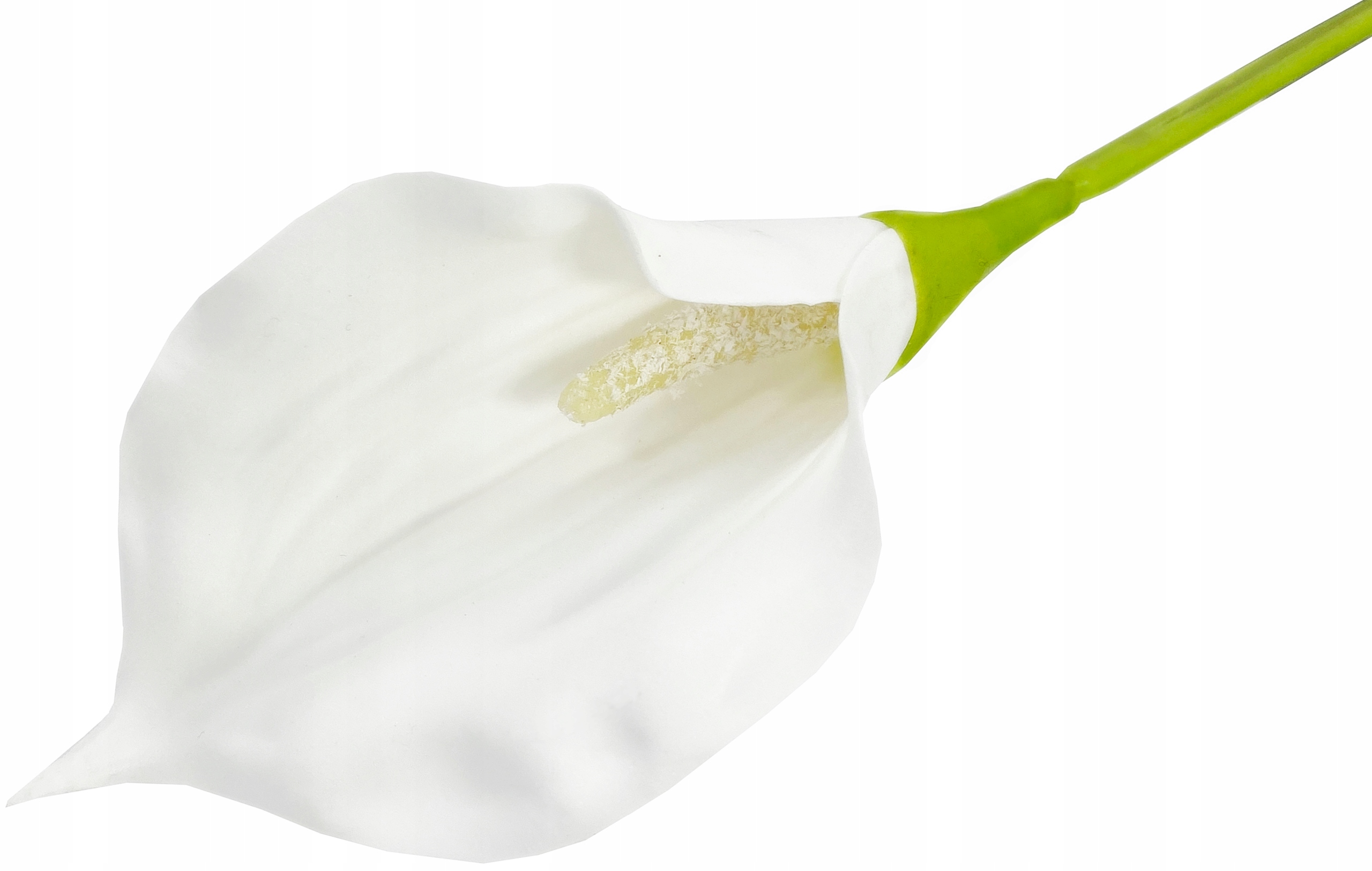 KALIA CALLA GUMOWA dł 60 cm KWIAT gałązka GUMOWY