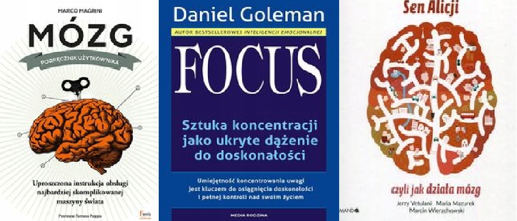 Mózg Podręcznik Sen Alicji Focus