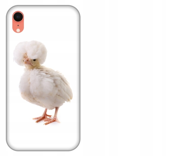 

Etui pokrowiec iPhone Xr Kura padewska smieszne zw