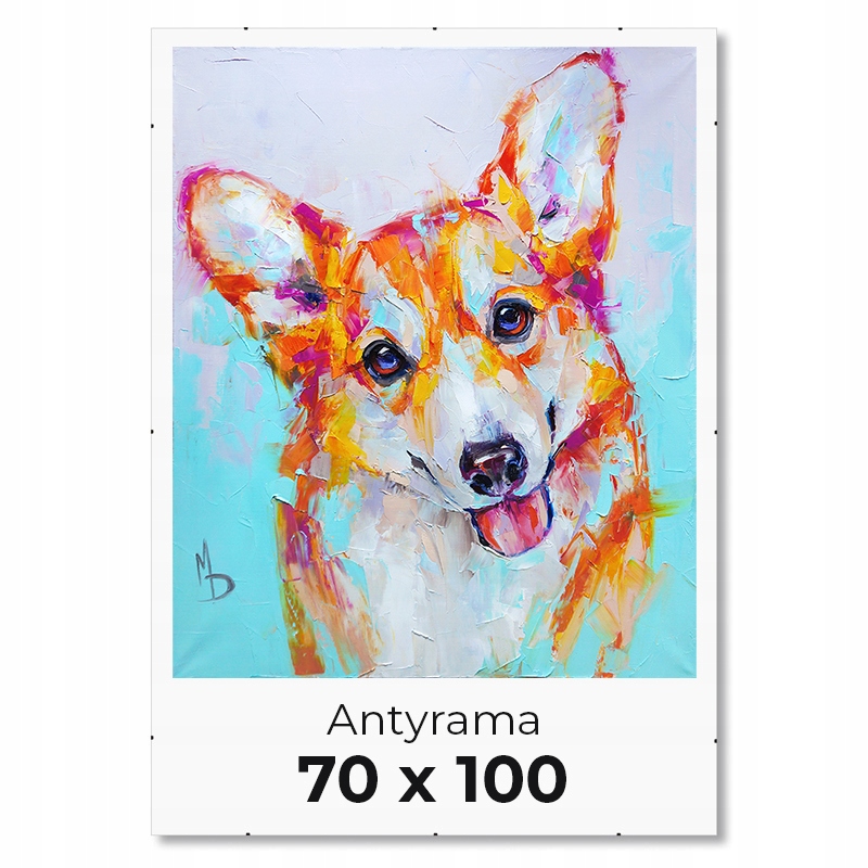 Antyrama plexi pleksi szkło akrylowe ____ 70x100cm