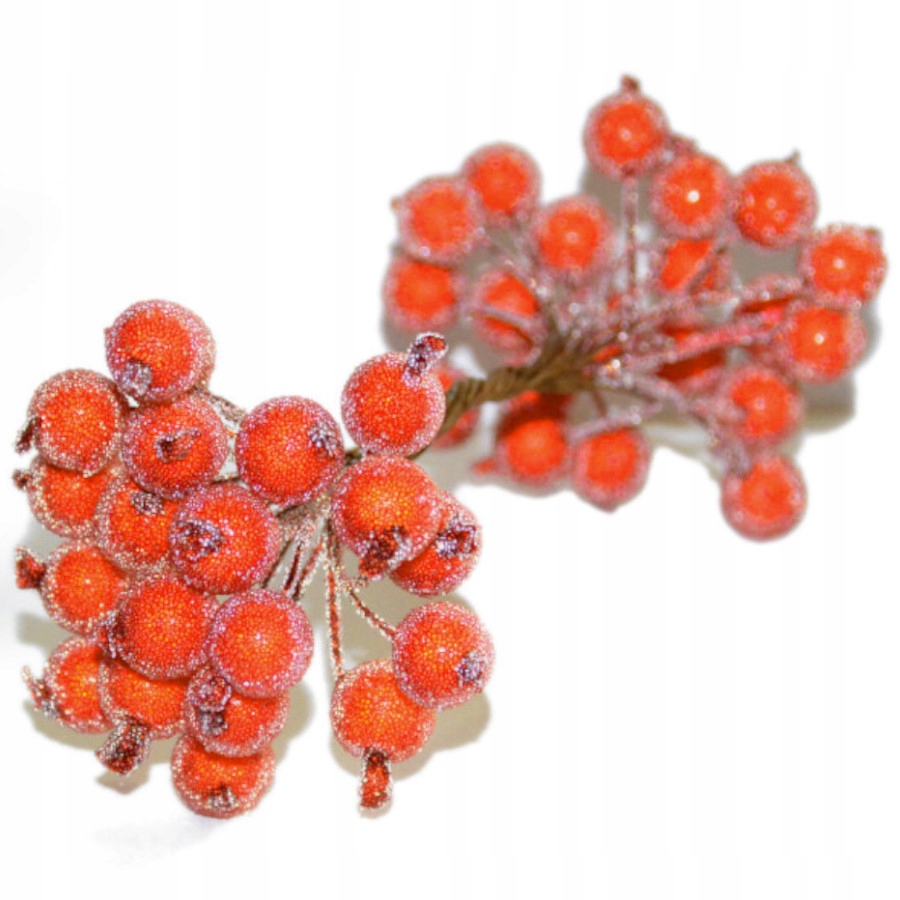 

Dzika róża oszroniona Pomarańcz głóg jarzębina 40