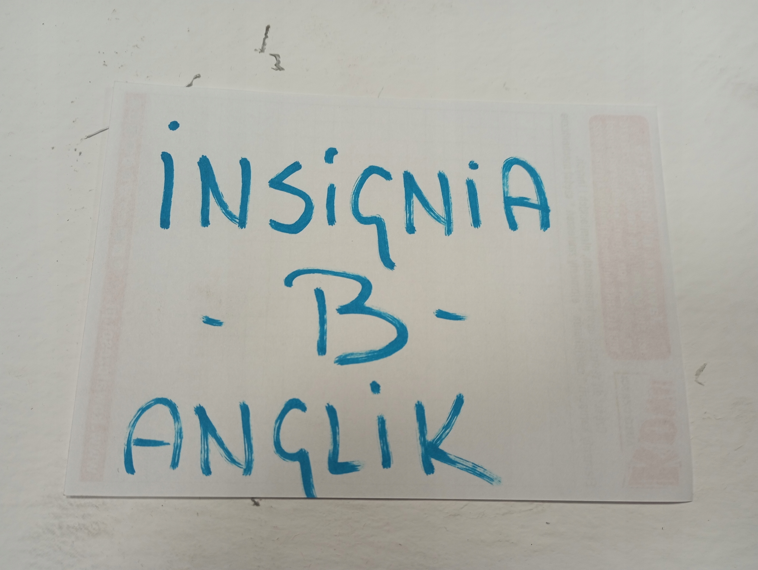 light OPEL INSIGNIA B ANGLIK front front left