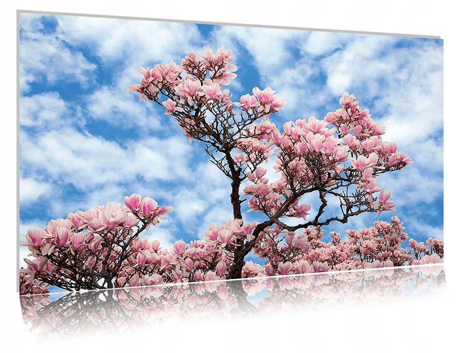 

Obraz szklany na szkle Magnolia 01 30x20