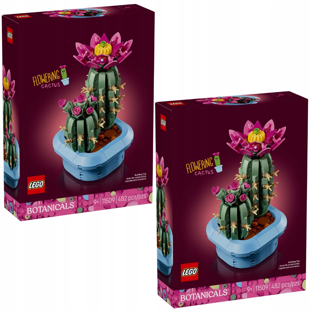 2x LEGO Botanicals 11509 Kwitnący kaktus